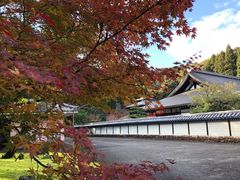 -西芳寺(苔寺)