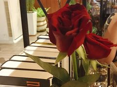 -IL Forno 意坊·意大利餐厅(温州万象城店)