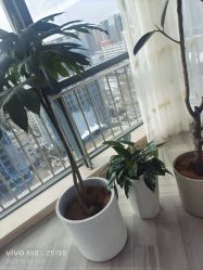 -HEYAN荷妍专业脱毛连锁机构