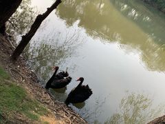 -长兴太湖图影湿地文化园