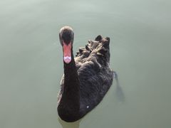 -祥源·阜阳生态乐园