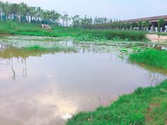 -野芷湖(地铁站)