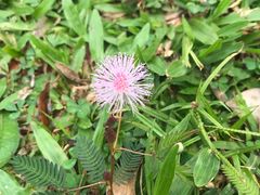 -呀诺达热带雨林