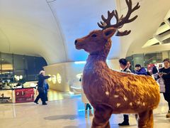 -哈尔滨大剧院