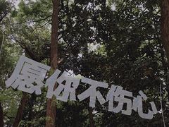 -杭州植物园