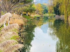 -绍兴镜湖国家城市湿地公园
