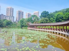-龙头寺公园