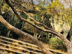-天目湖山水园