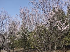 -绿堤公园