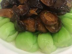 -民族饭荘(新华大街店)