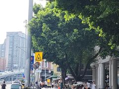 -清平中药材专业市场