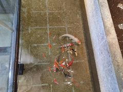 -虹泥小厨(南国花园总店)