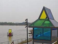 -荷兰花海
