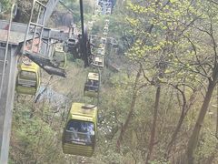 -黔灵山公园