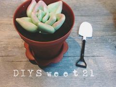 -DIY SWEET21(升平路店)