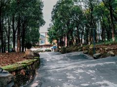 -四川美术学院美术馆