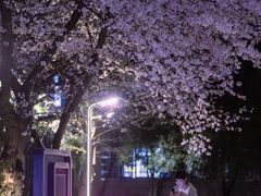 -浙江大学(紫金港校区)