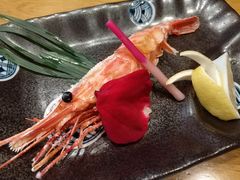 -渔藤(万柳东路店)