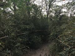 -南开大学滨海学院