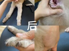 -听TA说宠咖·宠物生活馆(天韵水岸店)