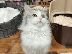 -狗道宠物(常熟印象城店)