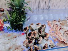 -瑞德姆美人鱼海底演艺主题餐厅(亚龙湾店)