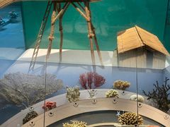 -中国湿地博物馆