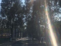 -四川大学(华西校区)