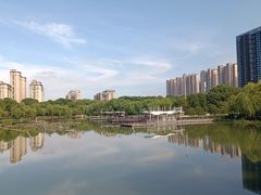 -桐乡植物园