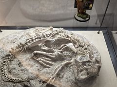 -辽宁古生物博物馆