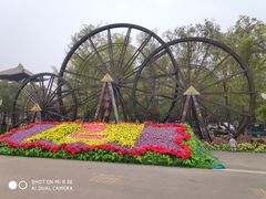 -呀路古热带植物园