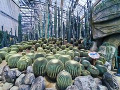 -南山植物园