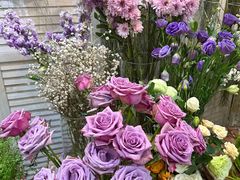 -Lamant Manor已闻花名关於蓝