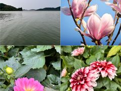 -渭滨公园