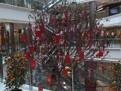 -粤麓轩餐厅(中信泰富广场店)