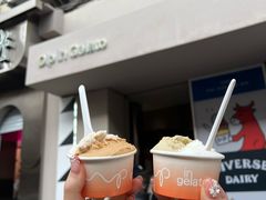 -Dip in Gelato(富民路店)