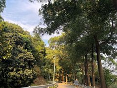 -风云岭森林公园