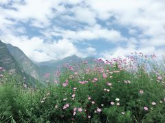 -叠溪松坪沟景区