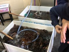 水产区-龙虾奇迹(大华三路店)