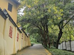 -赭山公园