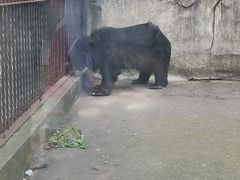 -南昌动物园
