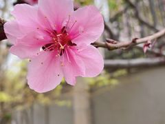 -睦南公园