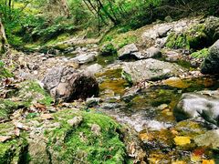 -关门山森林公园