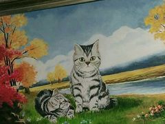 -猫色咖啡·猫咖