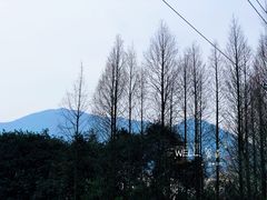 -大罗山风景区