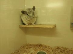 -龙猫仔乐园(惠福东路店)