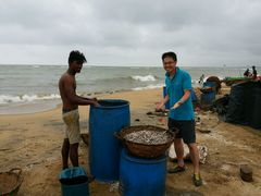 -尼甘布海鲜市场