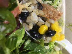 -油梨树AVOCADO TREE(嘉里中心店)