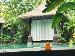 -碧桂园润杨溪谷温泉酒店