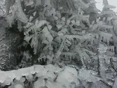 -江西阳明山国家森林公园